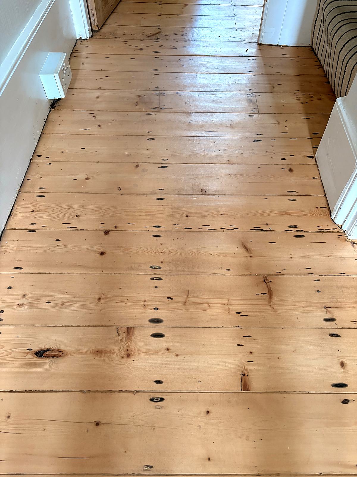 Pine floorboards sanded